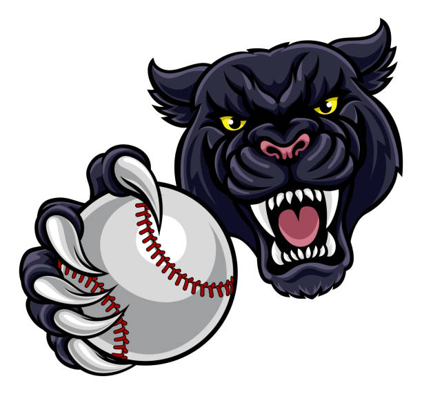 черная пантера холдинг бейсбольный мяч талисман - characters sport animal baseballs stock illustrations