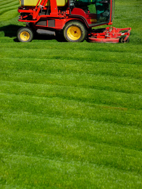 istock Bright red lawn mower on a freshly cut green grass 1143661951
