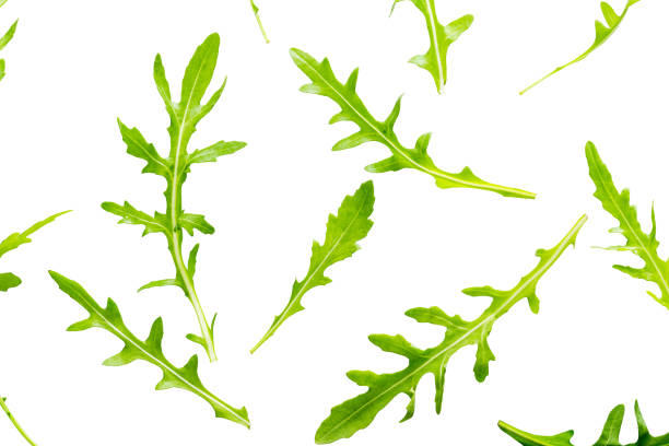 istock Arugula leaves isolated on white background. 1143667223