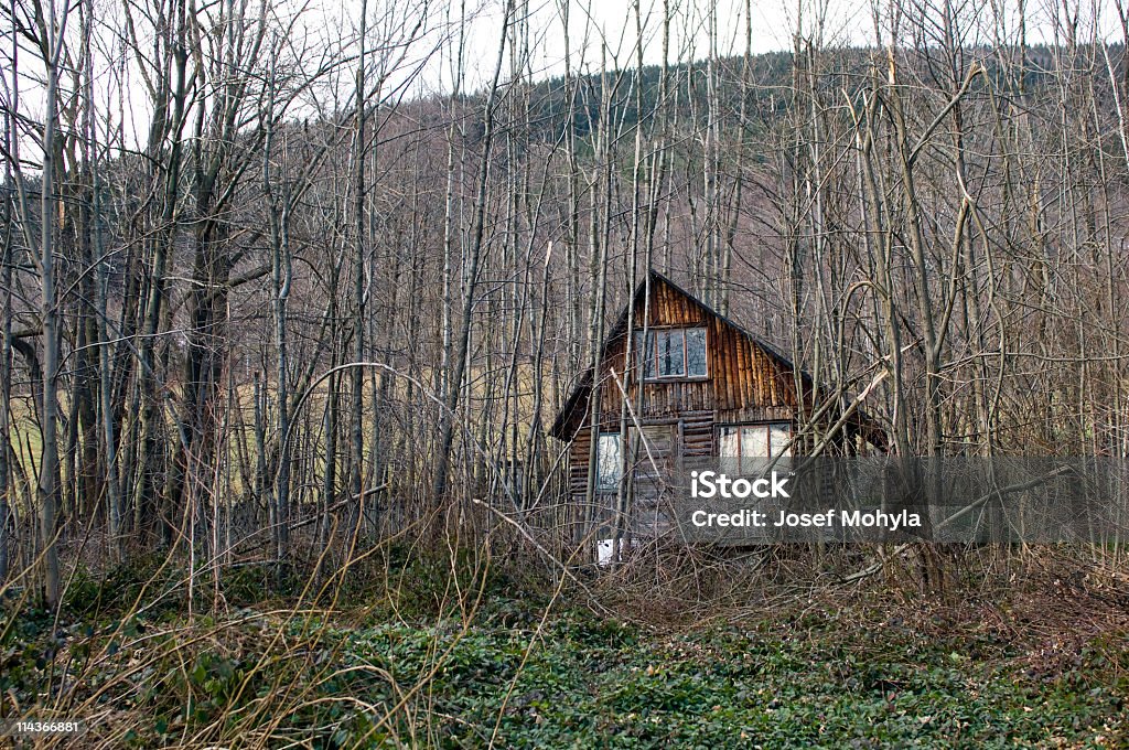 Old cabaña interior Brushwood. - Foto de stock de Boscaje libre de derechos