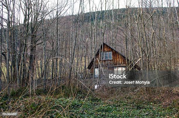 Foto de Chalé Velho Interior Com Arbustos e mais fotos de stock de Bosque - Floresta - Bosque - Floresta, Abandonado, Cabana de Madeira