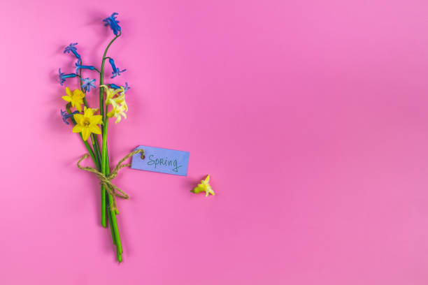 istock Bouquet spring blossom flowers over pink background 1143674875