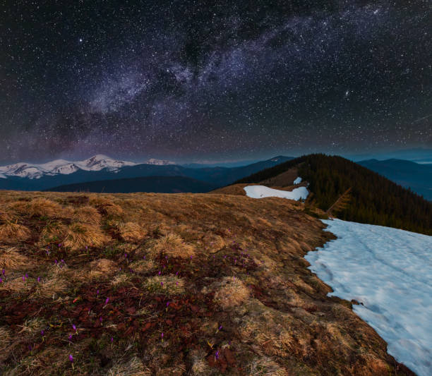 夜の春の山と星空の天の川 - spring crocus temperate flower european alps ストックフォトと画像