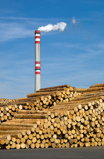 재목 업계 톱질하다 제분기 - unbarked timber 뉴스 사진 이미지