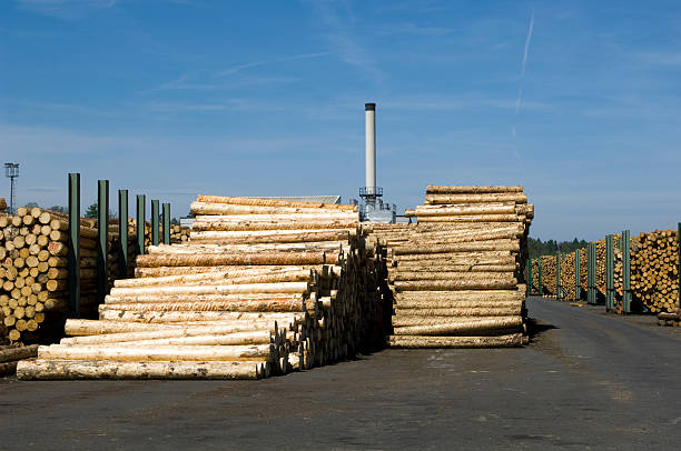 재목 업계 톱질하다 제분기 - unbarked timber 뉴스 사진 이미지