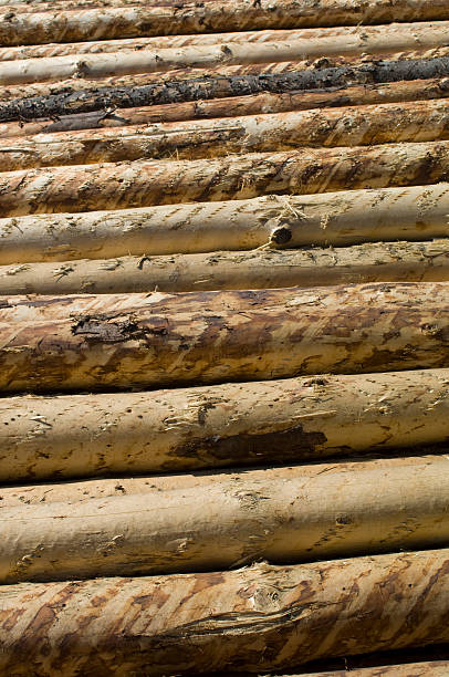 industrie du bois-saw mill - unbarked timber photos et images de collection