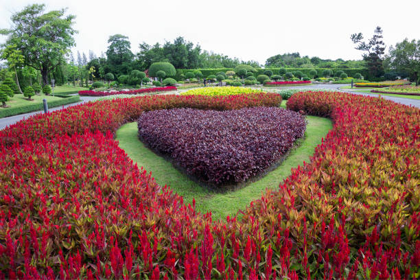 istock Colorful vertical gardens in the park. 1143682985