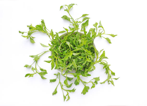 istock Watercress in bowl isolated on white background. Top view. 1143683206