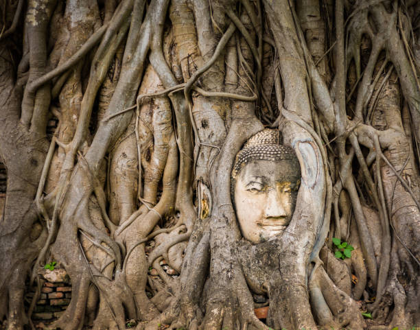 istock head of buddha 1143683970