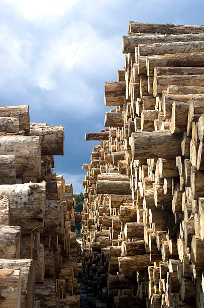 woodworking の木材産業ヤードの木材 - unbarked timber ストックフォトと画像