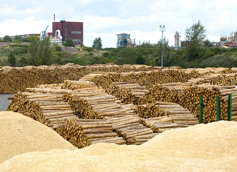 Pulp mill and Saw mill - yard of timber in big factory