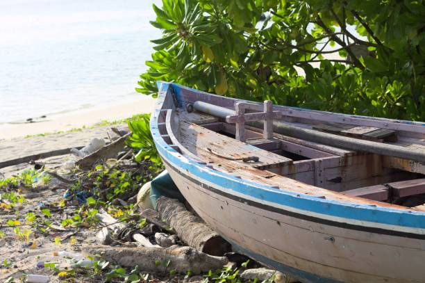 barca di legno isolata sulla spiaggia (atollo di ari, maldive) - scow foto e immagini stock