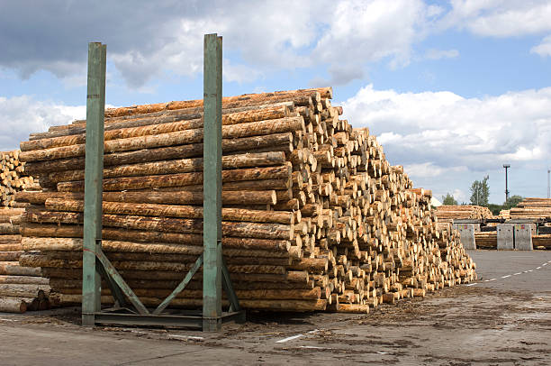 木材産業-saw mill ます。 - unbarked timber ストックフォトと画像