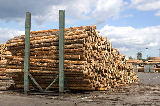 istock Lumber industry - saw mill. 114368724