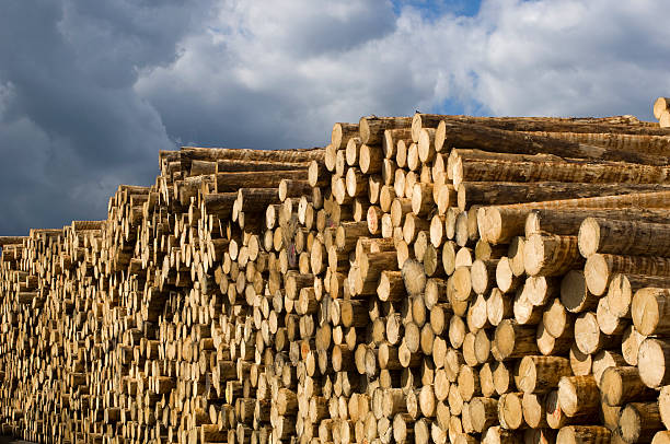 woodworking ヤードの木材 - unbarked timber ストックフォトと画像
