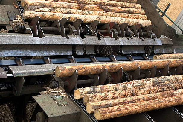 industrie du bois-papiers de saw mill - unbarked timber photos et images de collection