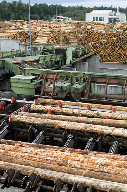 木材産業-woodworking saw mill で - unbarked timber ストックフォトと画像