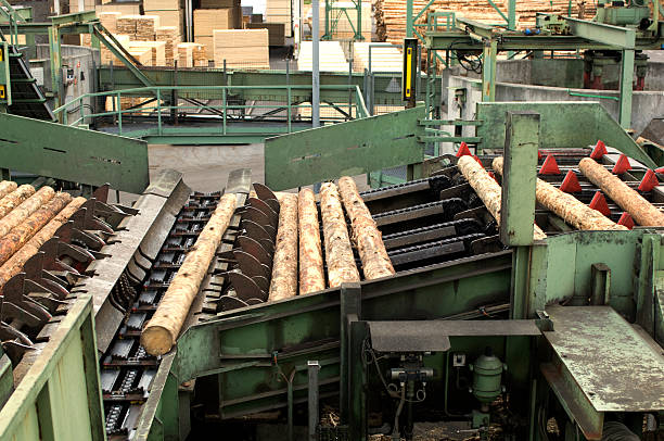 istock Lumber industry - cutting line in saw mill 114369200