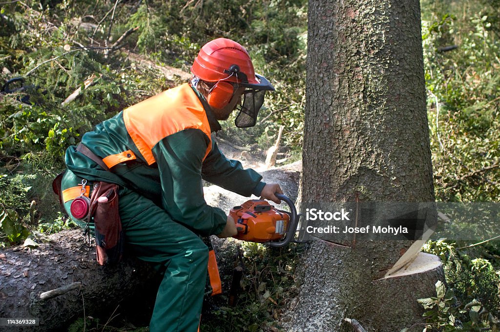 Forestry рабочий с Бензопила - Стоковые фото Бензопила роялти-фри