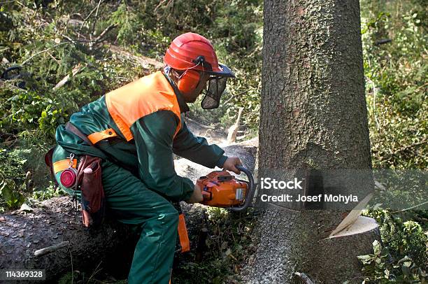 Forestry Рабочий С Бензопила — стоковые фотографии и другие картинки Бензопила - Бензопила, Бревно, Взрослый