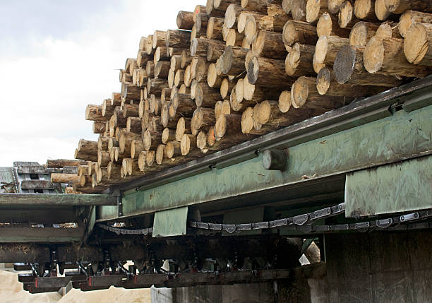 industrie du bois, de chaîne m�écanisme. - unbarked timber photos et images de collection