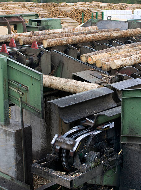 istock Lumber industry - cutting line in saw mill 114369771