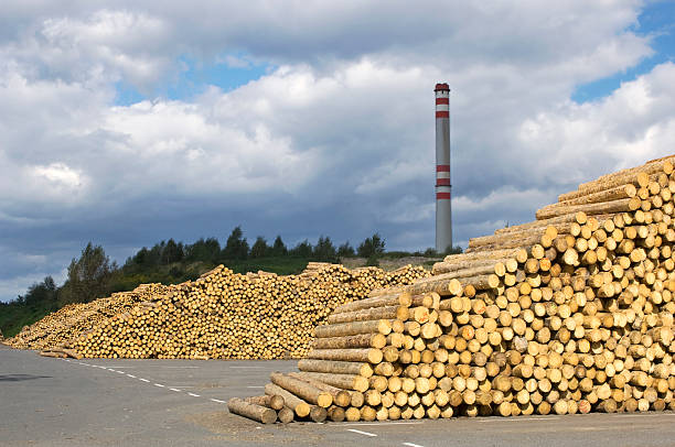 木材産業-saw mill ます。 - unbarked timber ストックフォトと画像