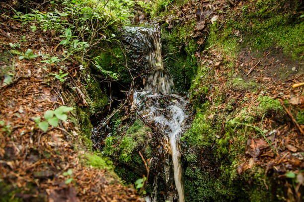 istock waterfall of the forest stream in Karelia 1143699230