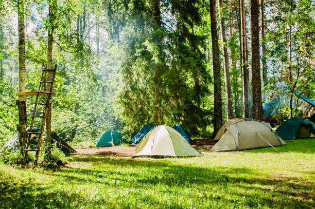 森の端にあるキャンプ場 - キャンプ ストックフォトと画像