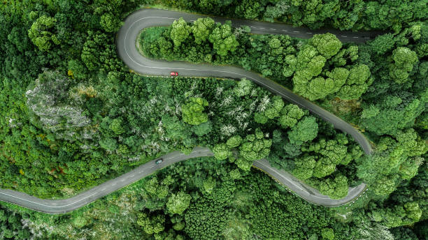 vista aérea de la carretera sinuosa a través de los densos bosques en la alta montaña. - road scenics street road trip fotografías e imágenes de stock