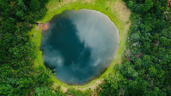 Aerial view of natural pond surrounded by pine trees in Fanal, Madeira island