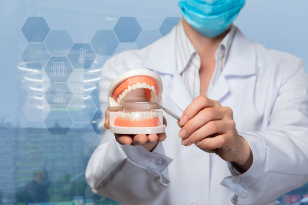 istock A dentist is pointing at the opened artificial jaw model. 1143699744