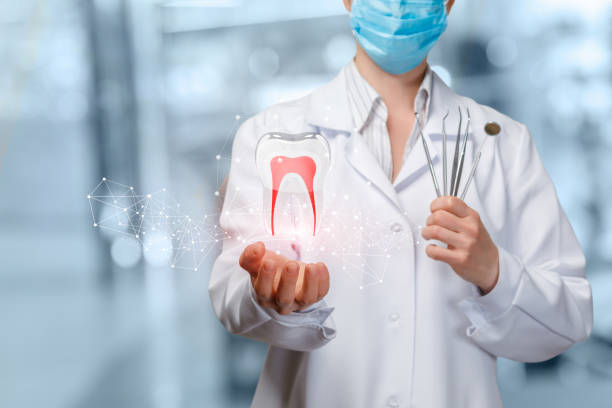 istock A dentist holding a digital tooth model with roots. 1143699748