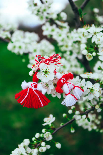 istock Bulgarian traditional spring decor martenitsa on the blossom tree background. Baba Marta holiday. 1143700989