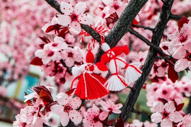 istock Bulgarian traditional spring decor martenitsa on the cherry blossom tree background. Baba Marta holiday. 1143700998