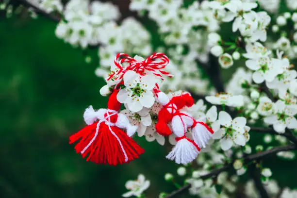 Photo of Bulgarian traditional spring decor martenitsa on the blossom tree background. Baba Marta holiday.