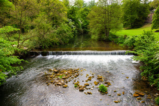 istock River Manifold, Ilam Park, England 1143701768