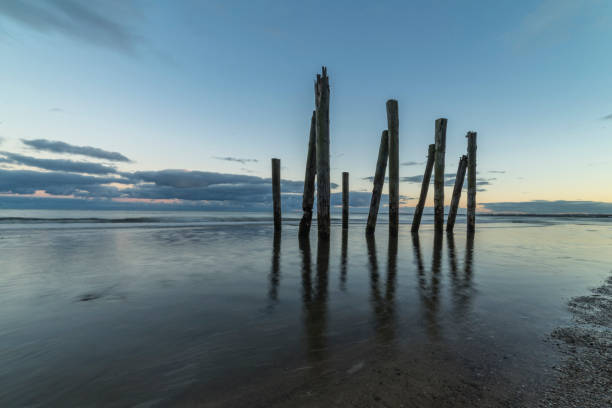 istock Sea sunset. Bare tree trunks in the water 1143702373