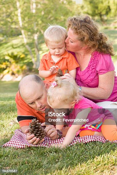 Família Jovem Falar De Pine Cones No Parque - Fotografias de stock e mais imagens de Adulto - Adulto, Alegria, Amor