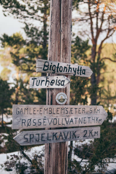 istock Wooden signpost 1143709711