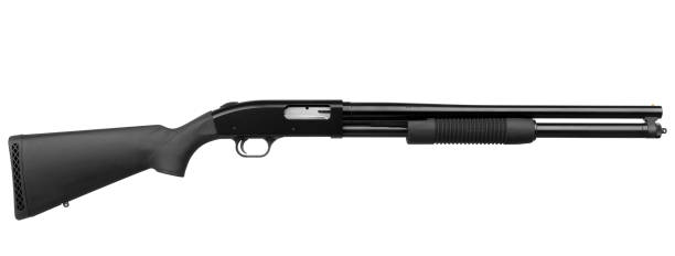 istock Shotgun isolated on white background 1143711335