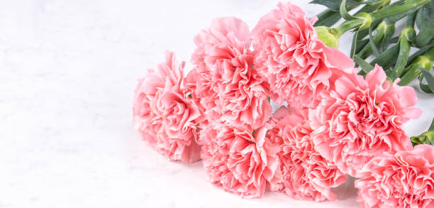 istock Design concept - Beautiful bunch of carnations on marble white background, top view, copy space, close up, mock up. Mothers day gift idea inspiration. 1143714184