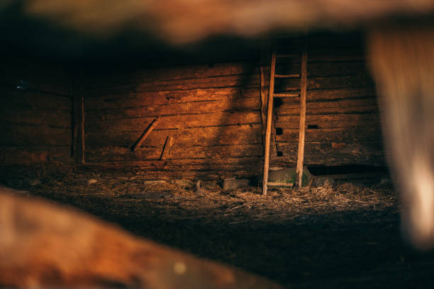 Light spills from a neglected log cabin in the forest.  Long exposure.