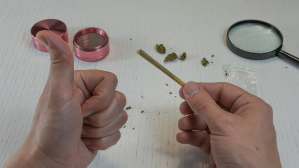 istock Preparing and rolling marijuana cannabis joint. Person hold marijuana joint in his hand 1143715240