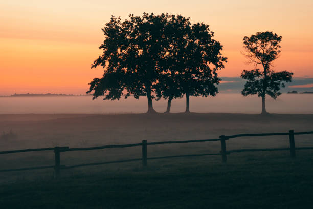 istock Majestic sunrise above meadow 1143716744