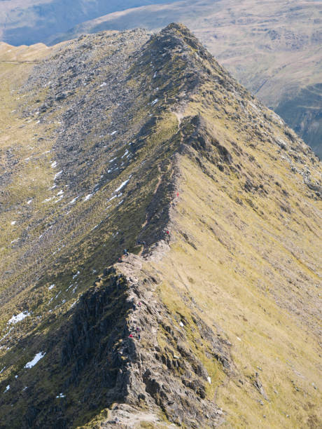 Striding Edge in the North West Lake District in Cumbria, England, UK Striding Edge in the North West Lake District in Cumbria, England, UK: A popular route linking the summit ridge of Birkhouse Moor to Helvellyn's summit by what becomes a sharp arête striding edge stock pictures, royalty-free photos & images