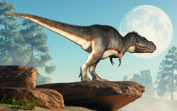 istock Tyrannosaurus Rex on a Cliff 1143719088