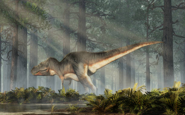 istock Tyrannosaurus Rex in a Forest 1143719090
