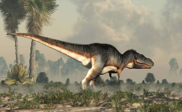 istock Tyrannosaurus Rex in a Wetland 1143719091