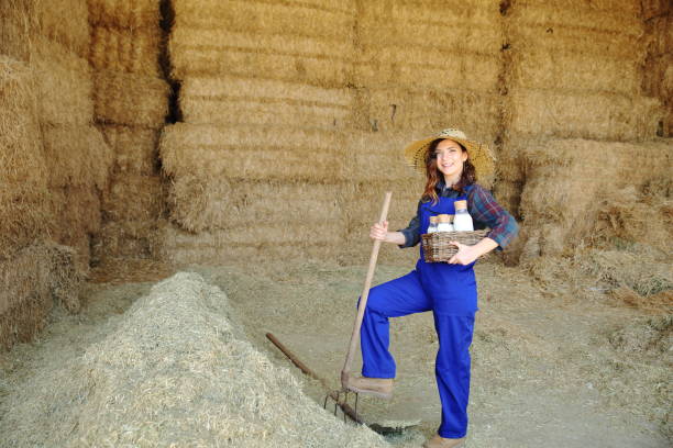 a sunny day on the farm, a young beautiful girl, from her homeland, a walk on the farm, a dark sky, a bright sunny day, warm weather, a cheerful mood, happiness, laughter, a shirt to match, a jacket on her head, bales of hay, straw, aprons sun, spring, summer, morning, afternoon